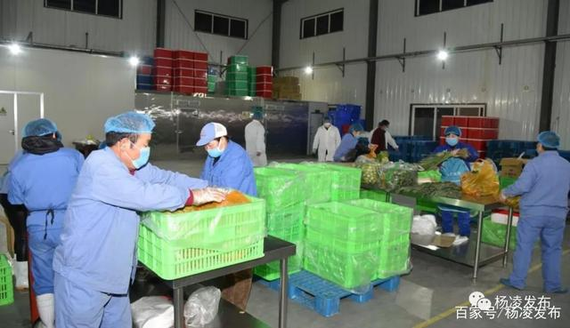 疫情期間保供企業(yè)，貢獻力所能及的力量